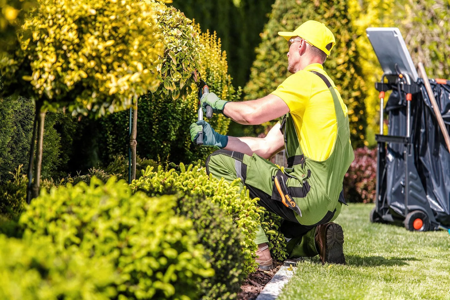 Puesta a punto puntual de jardines en Girona