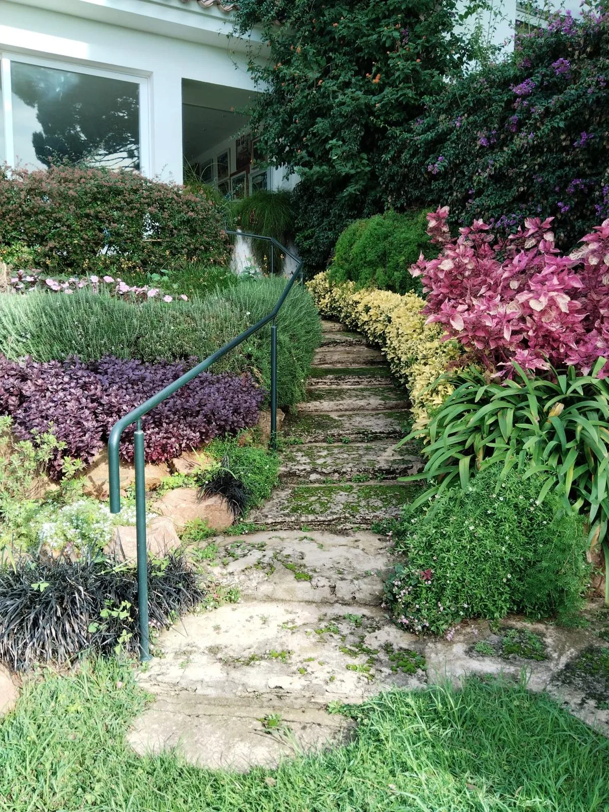 Jardinería Integral en Girona y Costa Brava en Girona - Arbotrep