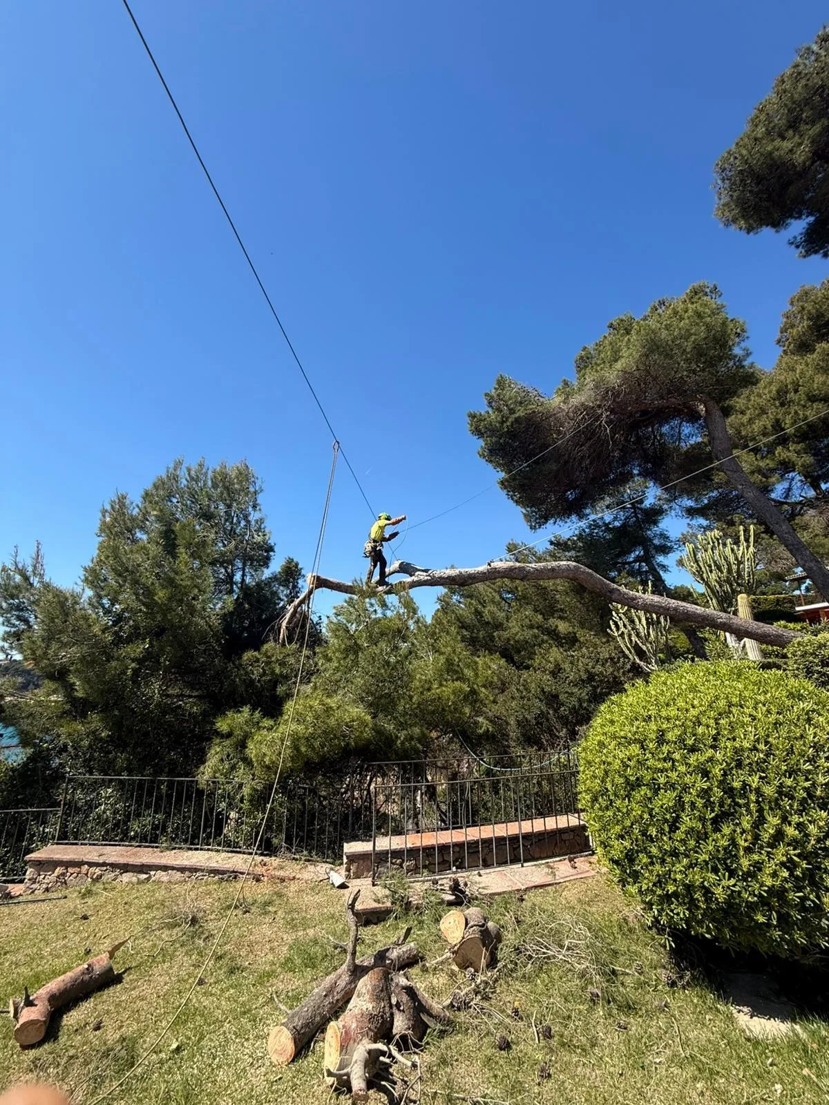 Poda de riesgo y árboles peligrosos en Girona